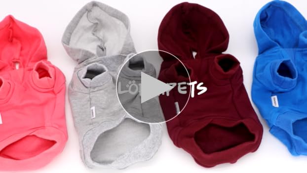 RETRIEVER CLUB ♥ SMALL PUPPY HOOD ZIP UP/追跡付 LOPHIPETS Dog Hoodies Sweatshirts for Small Dogs Teacup